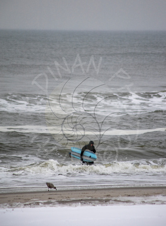Snow Surfer & Seagull Long Beach, NY 2/19/2021