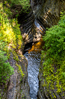 Watkins Glen State Park IMG_0560